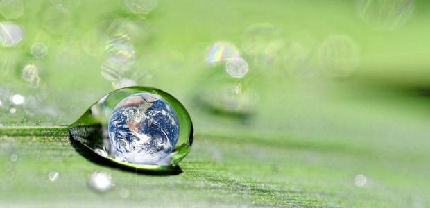 sustainibility essay Sustainability definition, the ability to be sustained, supported, upheld, or confirmed see more. sustainibility essay Sustainability definition, the ability to be sustained, supported, upheld, or confirmed see more.